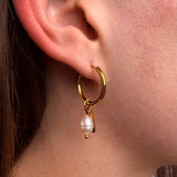 Aros de bajada de marea