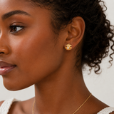 Pearl Treasure Clam Studs