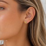 Sea Turtle Stud Earrings